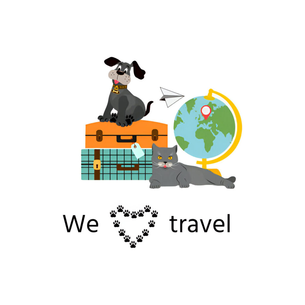 Qatar Airline Pet Travel: Enjoy Smooth, Stress-Free Pet Flights in 2024 | Flyingwithpet.com
